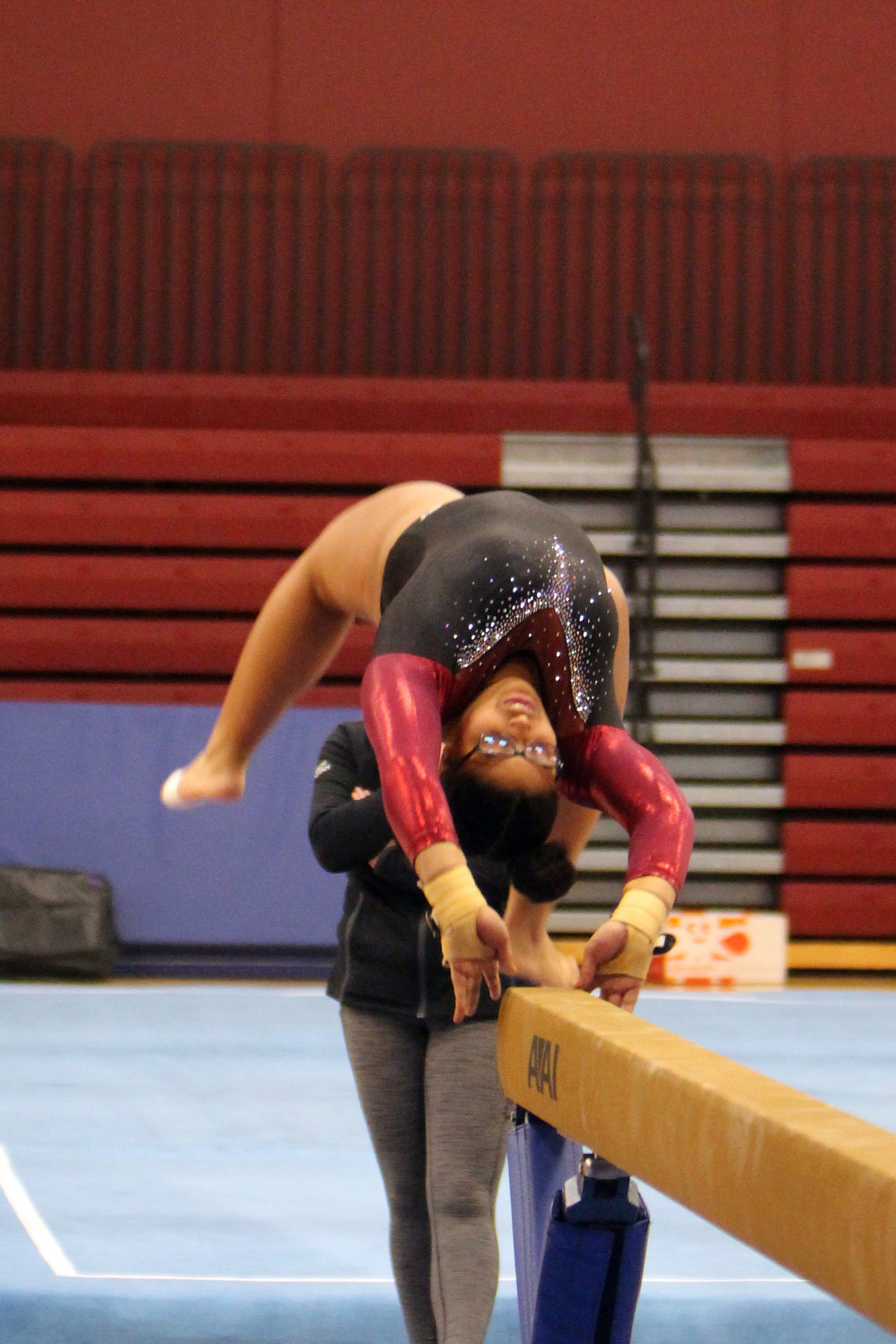 Big Rivers Conference Gymnastics Triangular at Menomonie 1-23-20